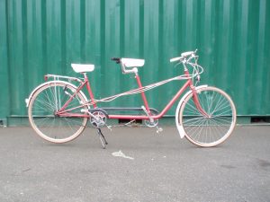 Pink Pashley Tandem